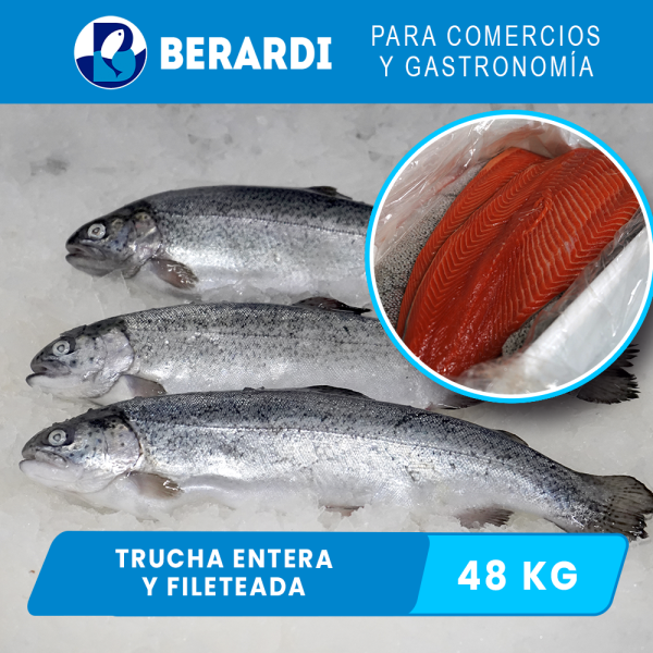 Trucha Entera y Fileteada 48 KG de Producto Premium para Comercios